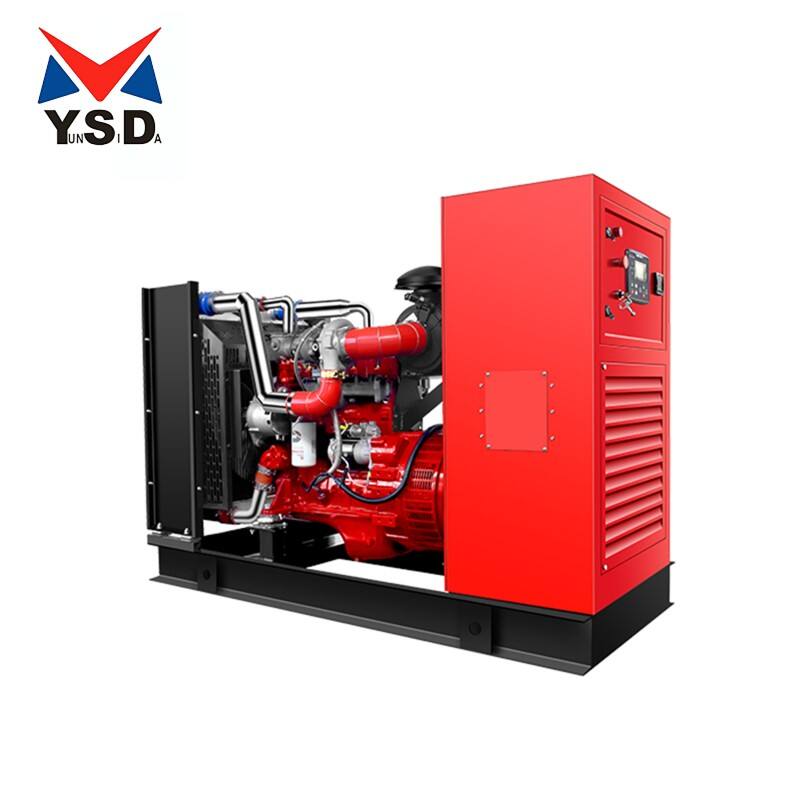 High end WL50-CNG series gas generator set gas leakage alarm monitoring system single-phase biogas water cooling
