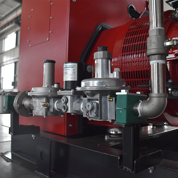 Dual Fuel Technology Excellence