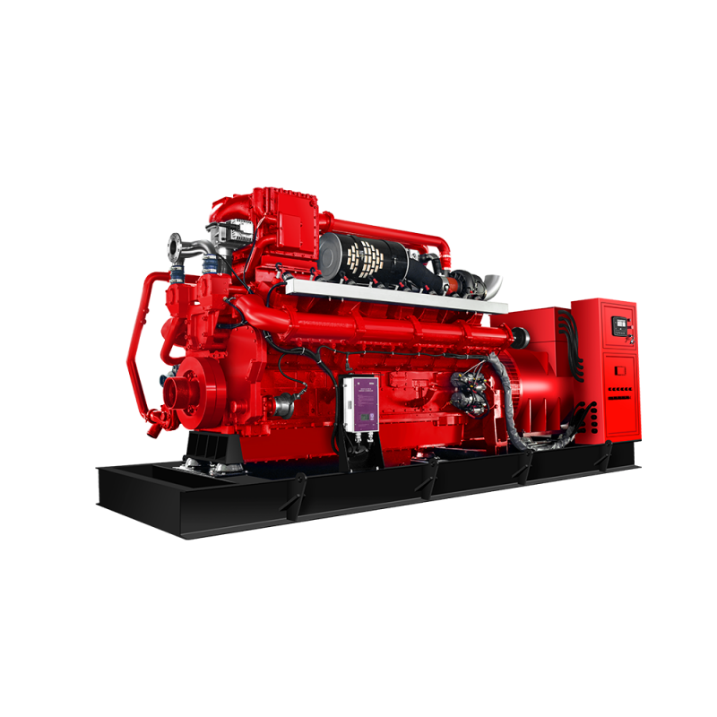 WL1000-CNG-K50