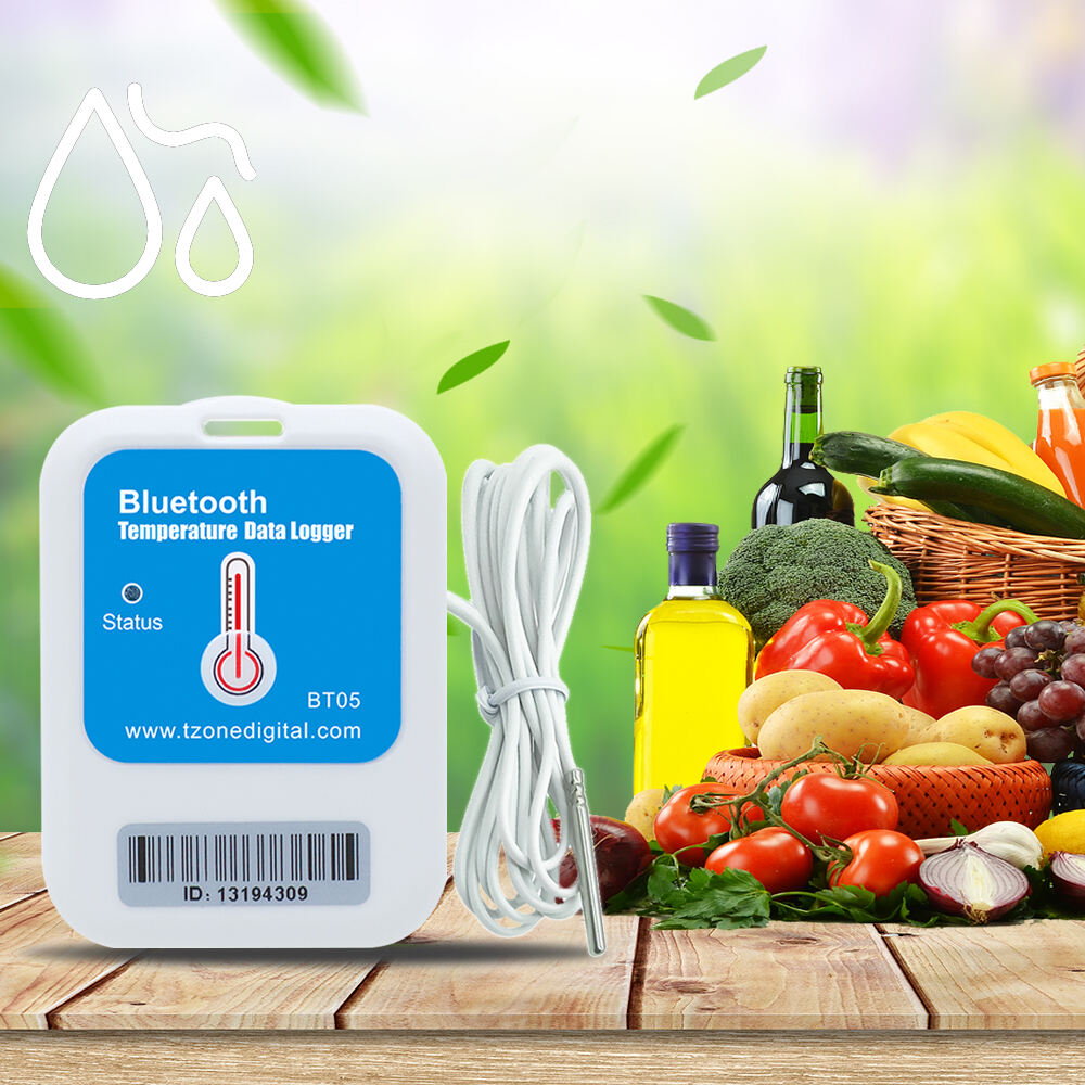 Bluetooth Wireless Temperature Monitor For Cold Chain Transport Sensor Temperature Data Logger supplier