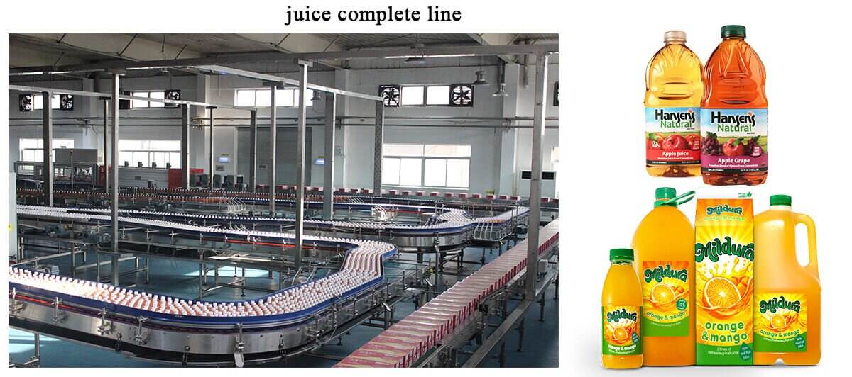 Fruit Juice Complete Production Line details