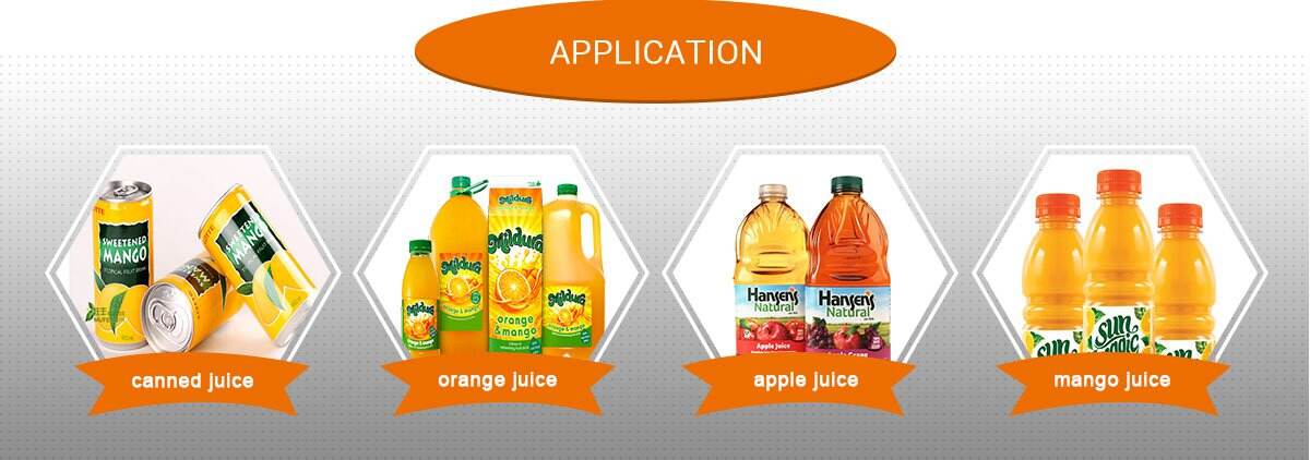 Fruit Juice Complete Production Line factory