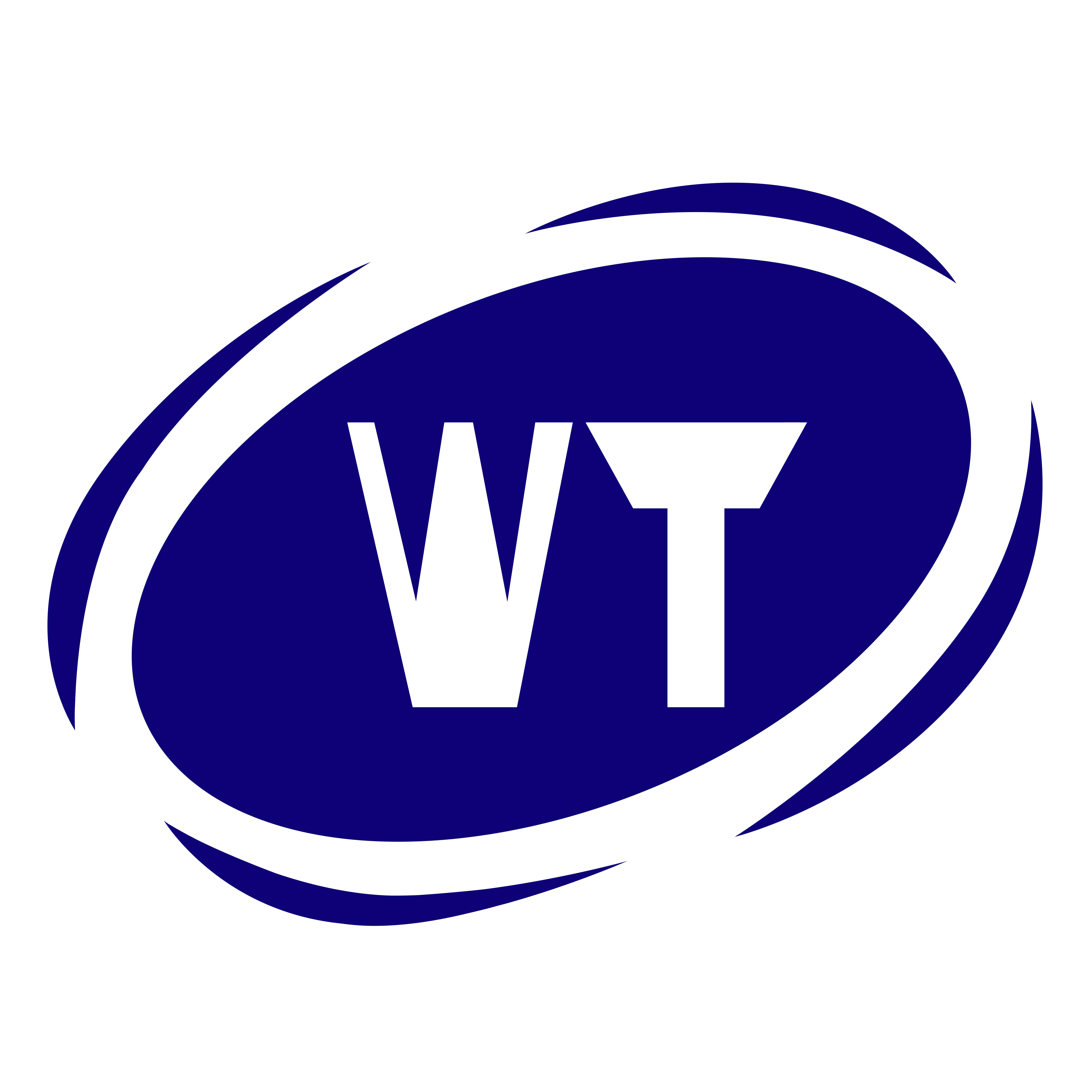 Shenzhen Wentong Machinery Co Ltd