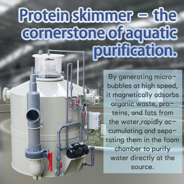 Zülal Süzgəci: Su Təmizlənməsini Mənbədə İnqilabçı Şəkildə Dəyişdirin