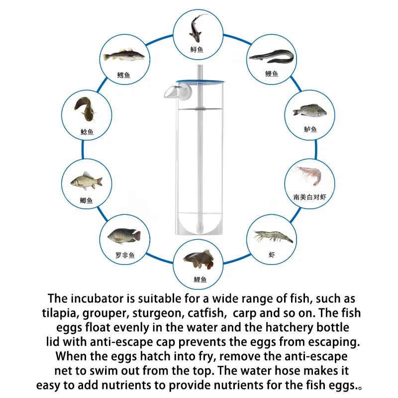 画板 2详情页.webp