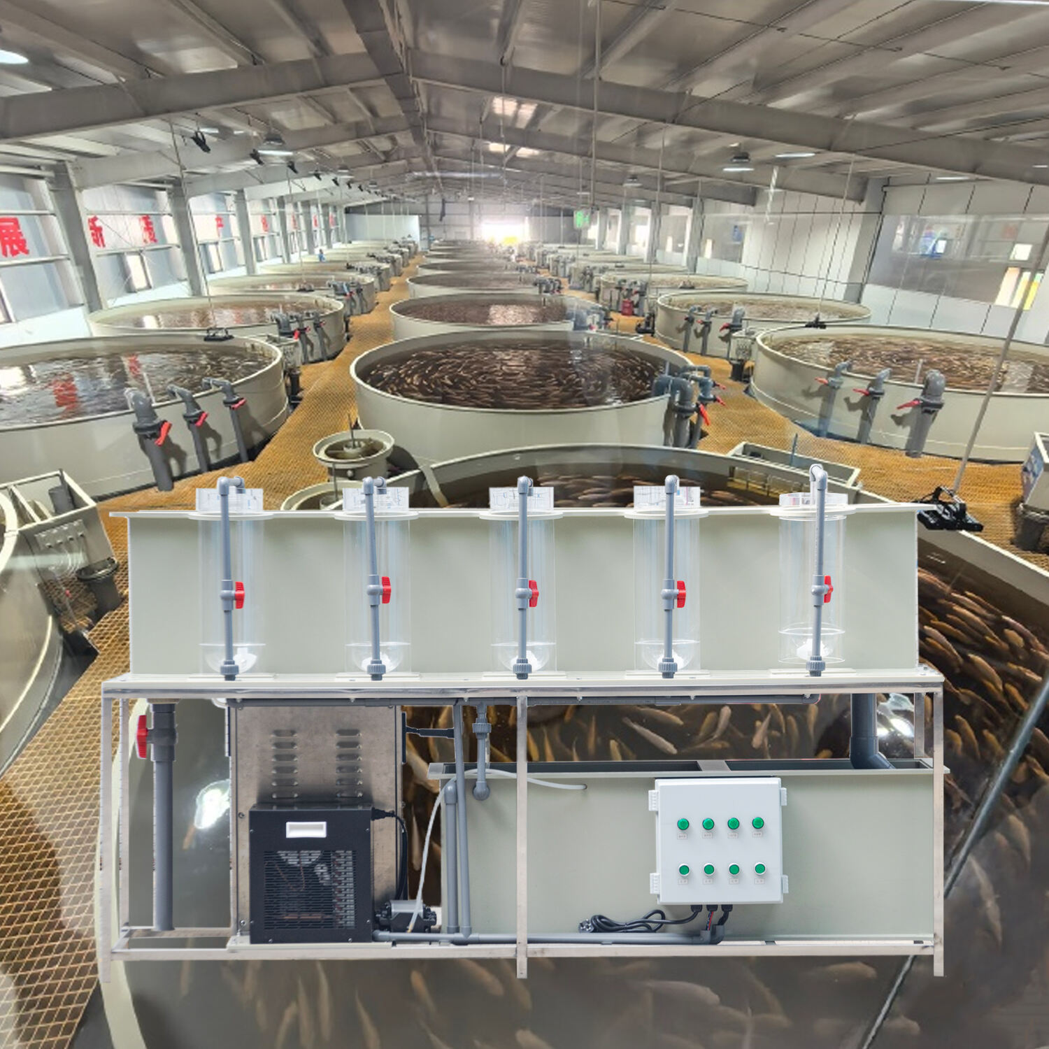 Sistema di Incubazione per Uova di Pesce in Acrilico