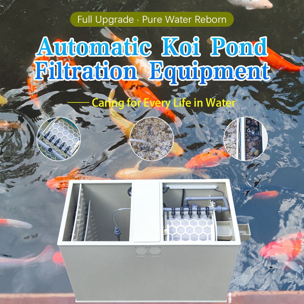 Pełnoautomatyczny System Filtracji dla Stawu Koi Upgrade – Odrodzenie Czystej Wody