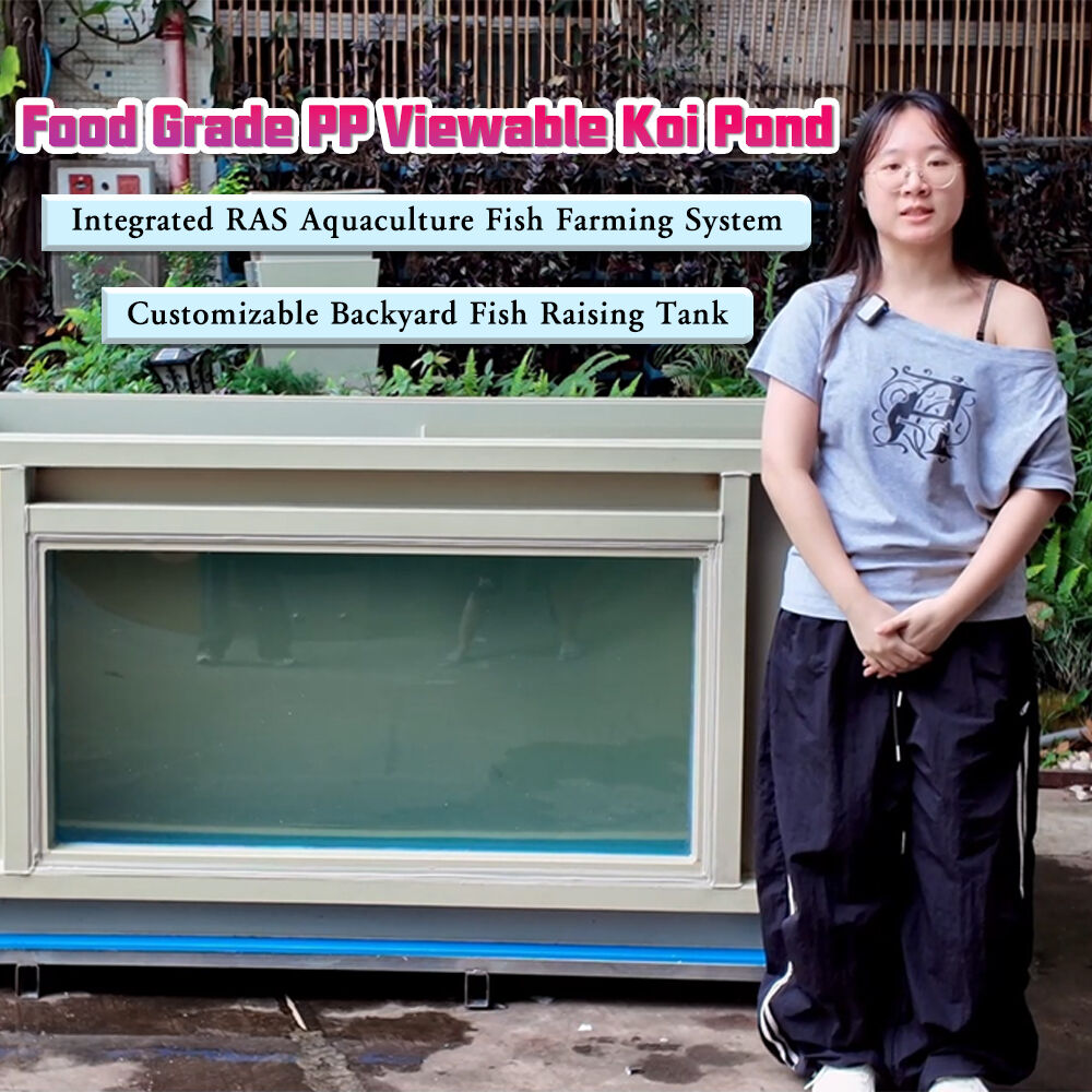 Custom Integrated Fish Pond: Ideal Solution for Temporary Rearing & Ornamental Use