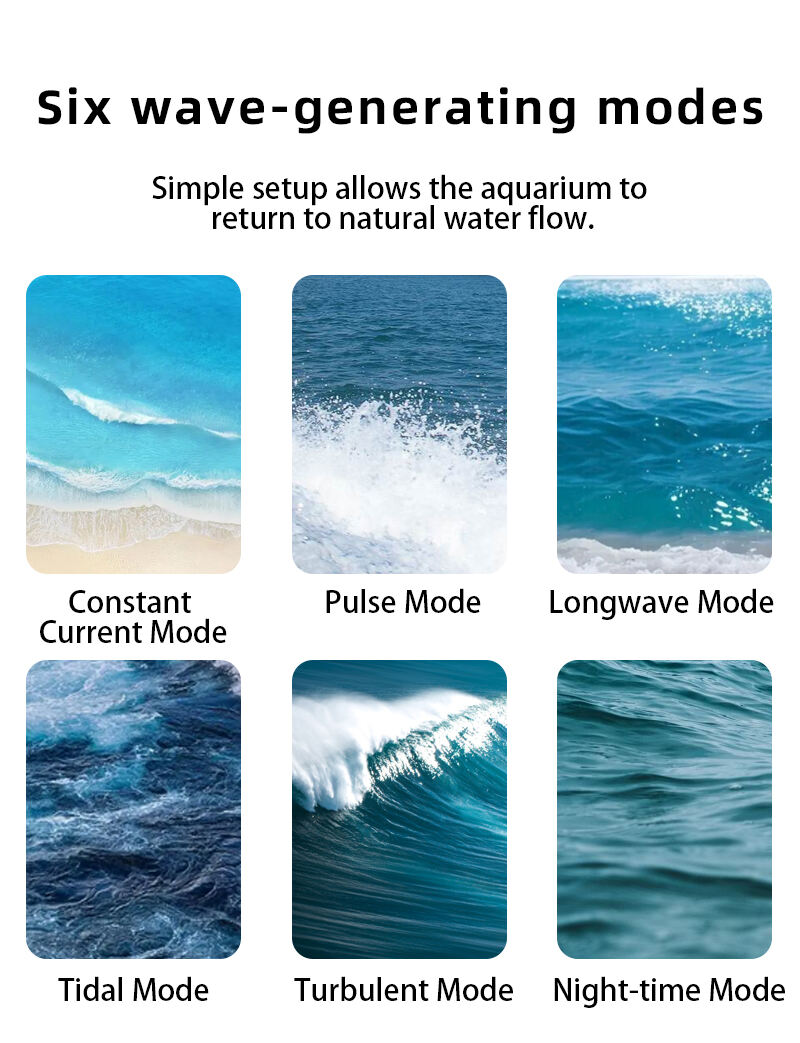 画板 3详情页.jpg