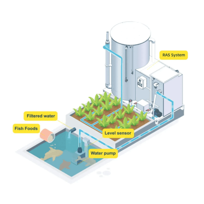 Systèmes aquaponiques : des pratiques innovantes pour un développement durable dans l'agriculture moderne