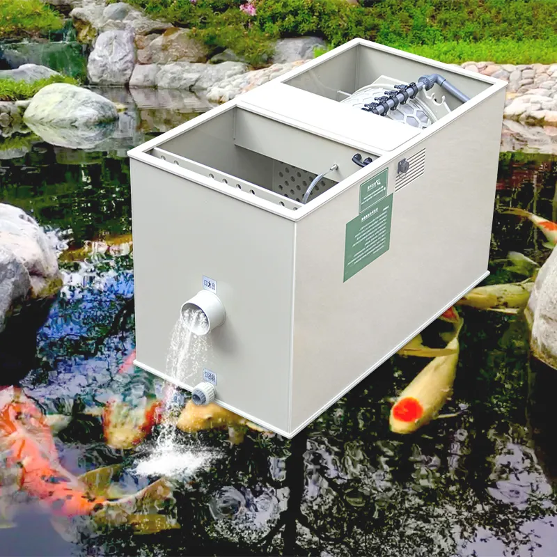 Koi Havuzu Filtrinin Sürətlə İşləməsini Təmin Edən Texniki Xidmət Üsulları Hansılardır?