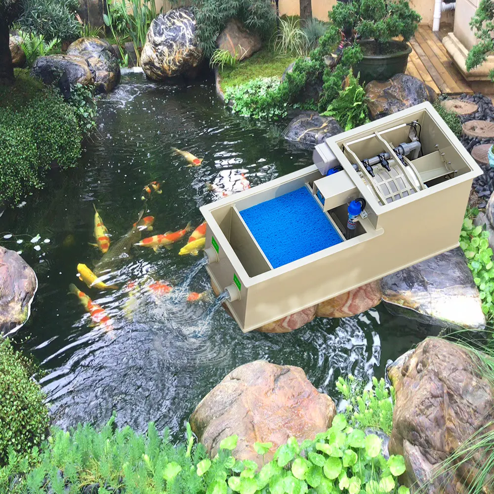 The Best Koi Pond Filtration Systems for High-Volume Ponds