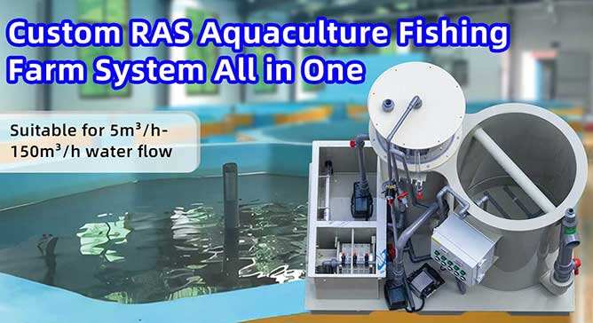 SKID RAS একুয়াকালচার সিস্টেম অল-ইন-ওয়ান