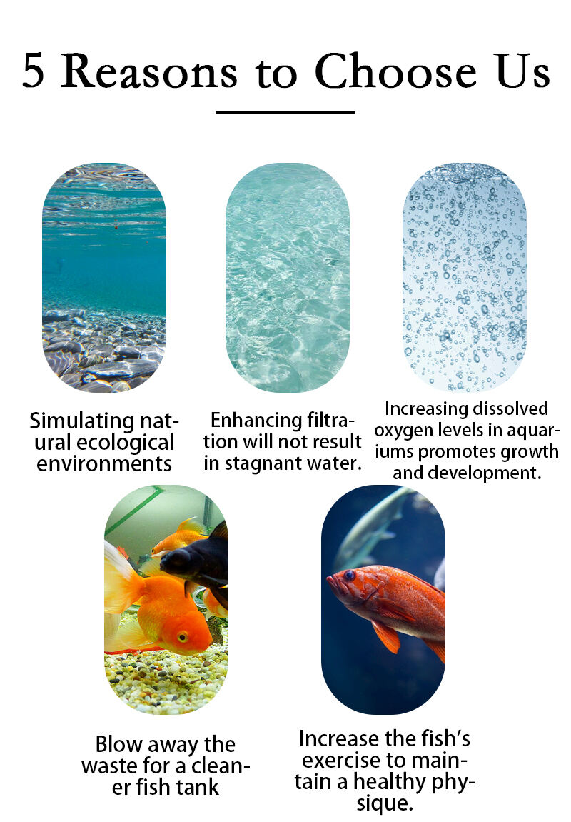 画板 4详情页.jpg