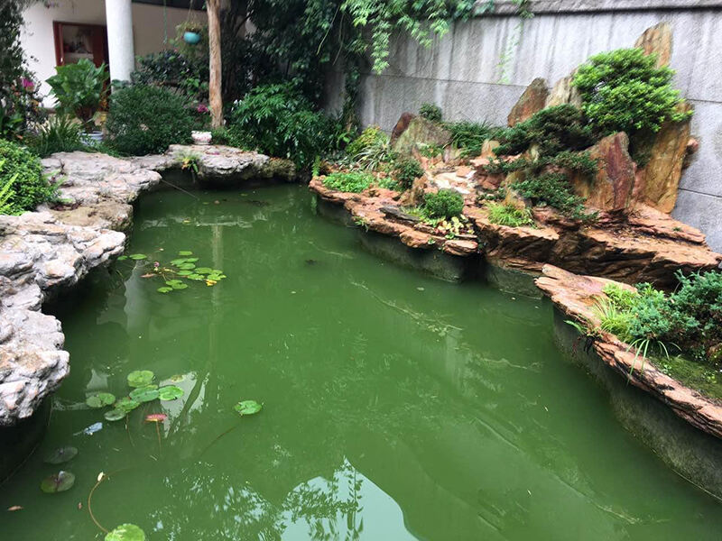 2(d8997630f6).jpg