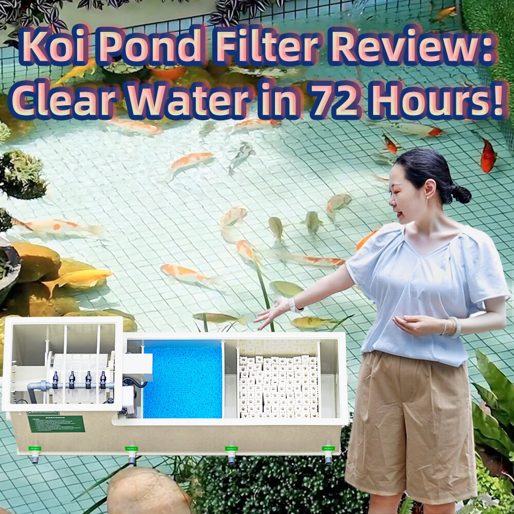 Koi Pond Filter Review: Clear Water in 72 Hours!