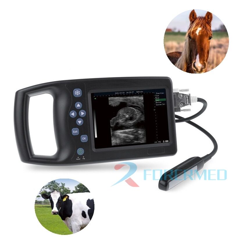 Veterinary Ultrasound Portable