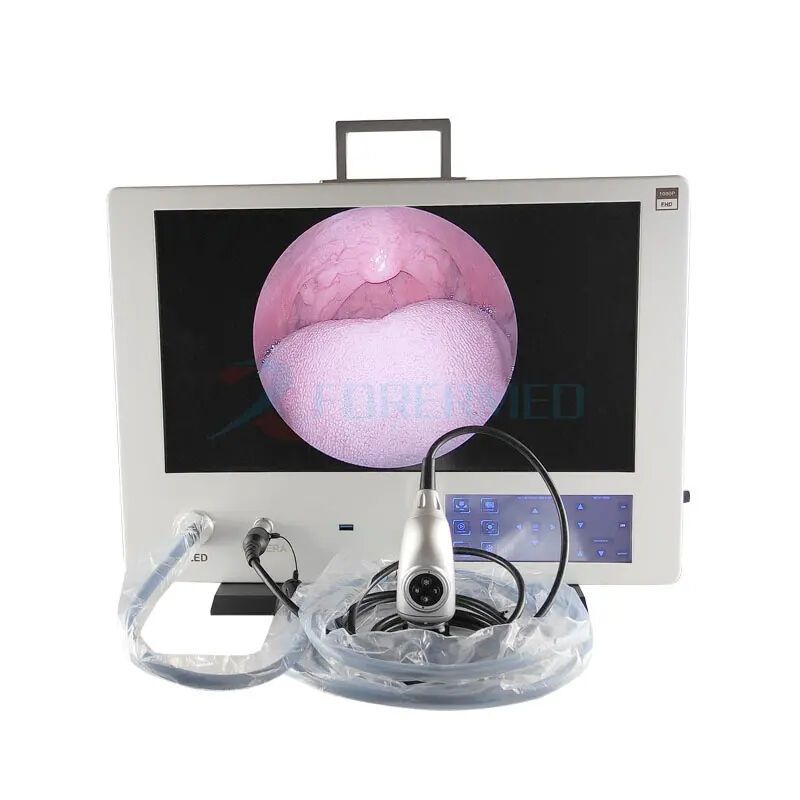 Endoscopy camera