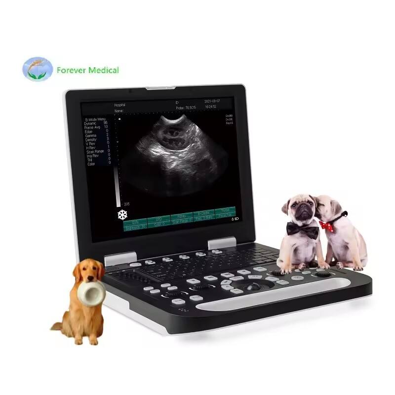 ម៉ាស៊ីន Ultrasound Vet ចល័ត