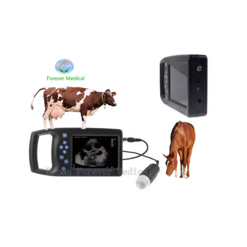 Handheld Veterinary Ultrasound