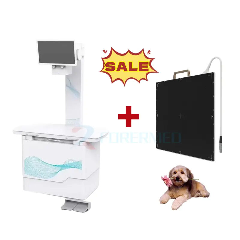 DR Veterinary X Ray Machine