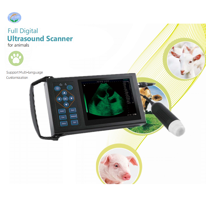 Ultrasound ມືຖືສັດຕະວະແພດ