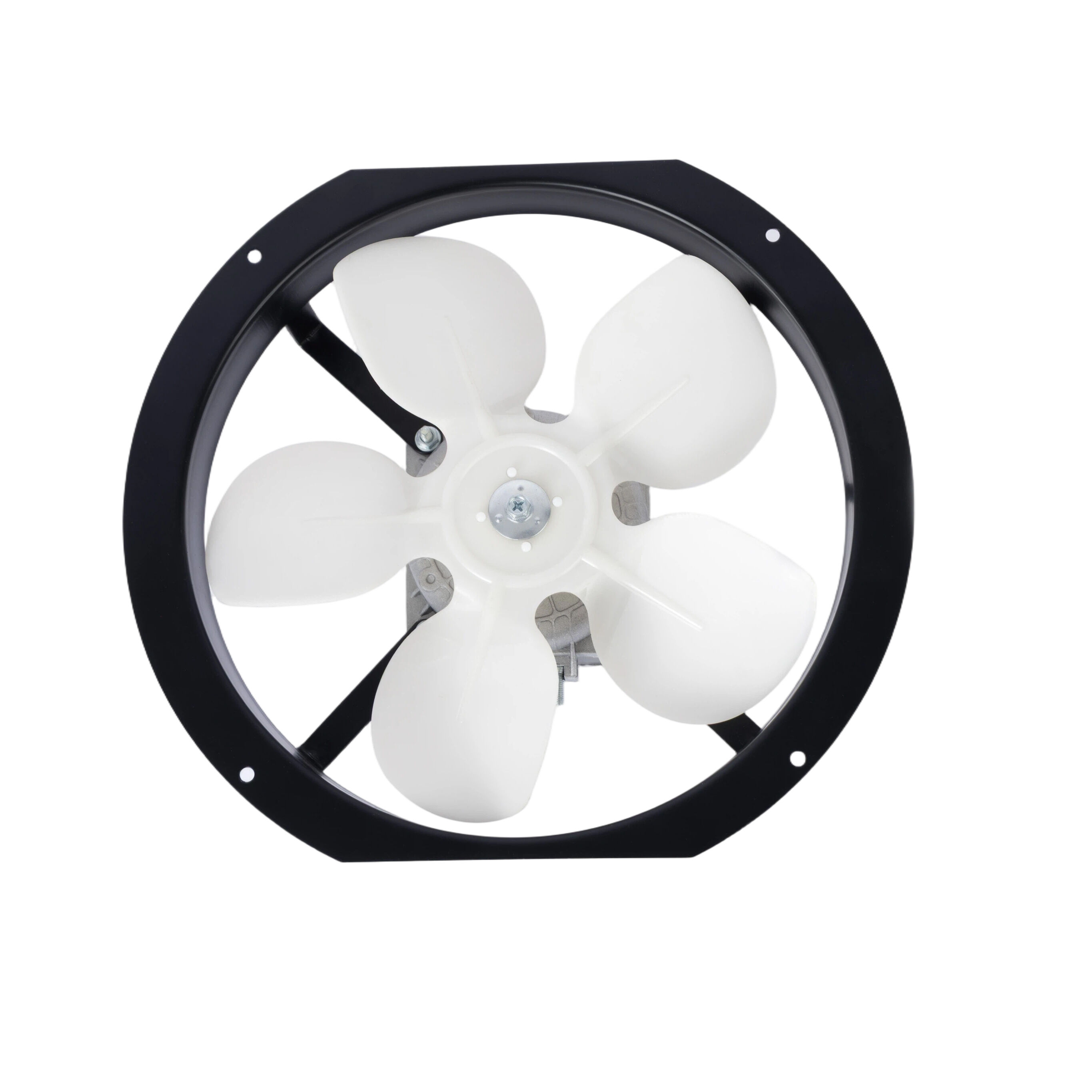 Capture One Catalog0369.jpg