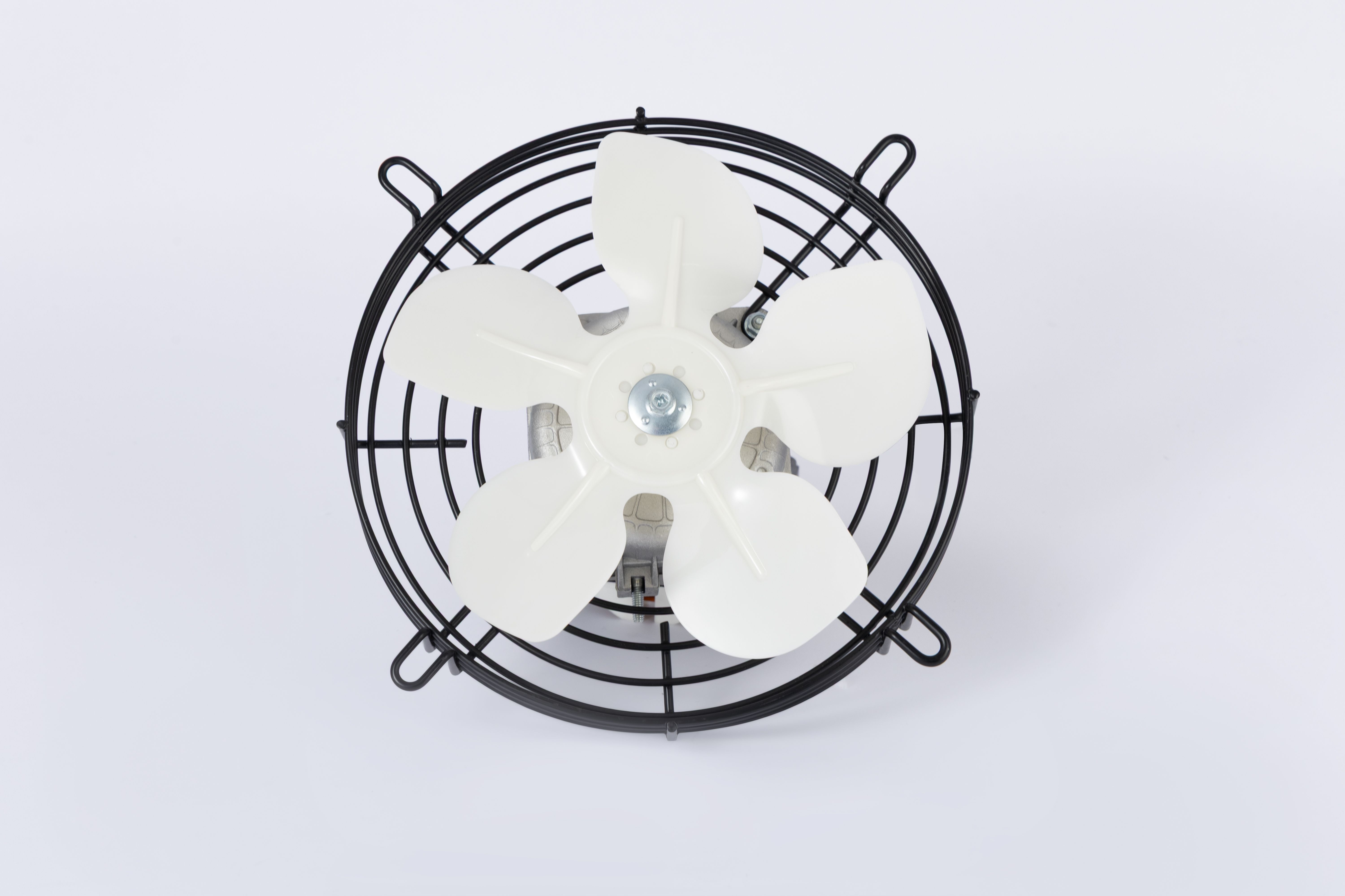 compressed-Capture One Catalog0353.jpg