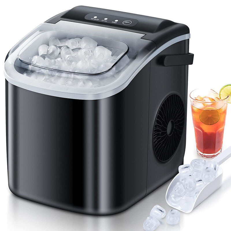 Ice maker 