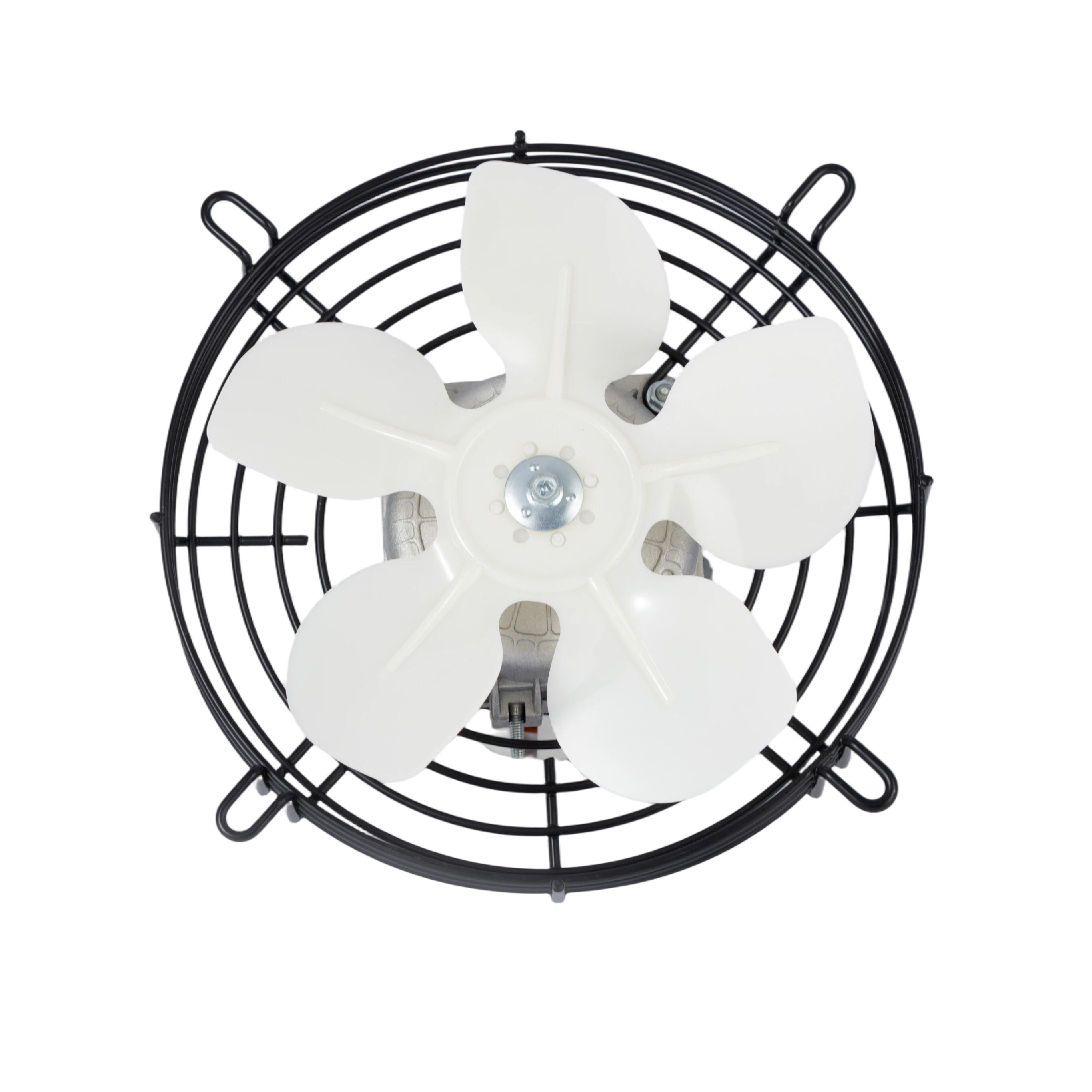 Capture One Catalog0353.jpg