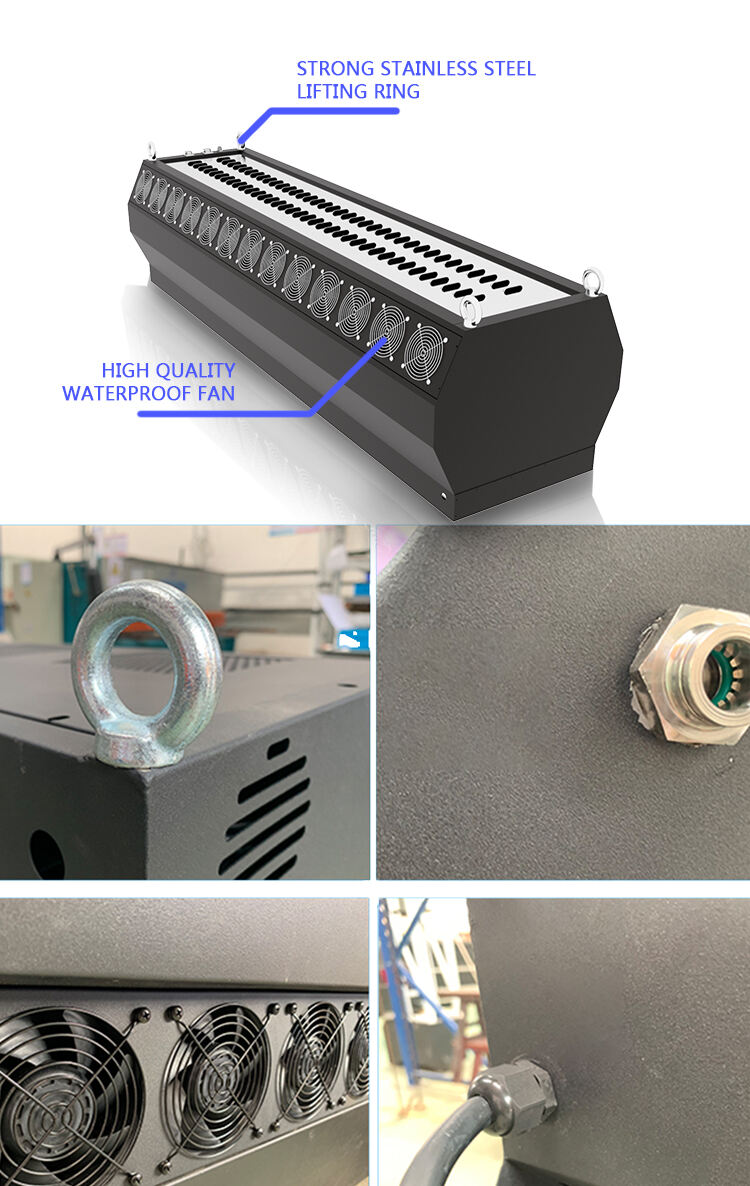 photobank (2)(7ab0609609).jpg