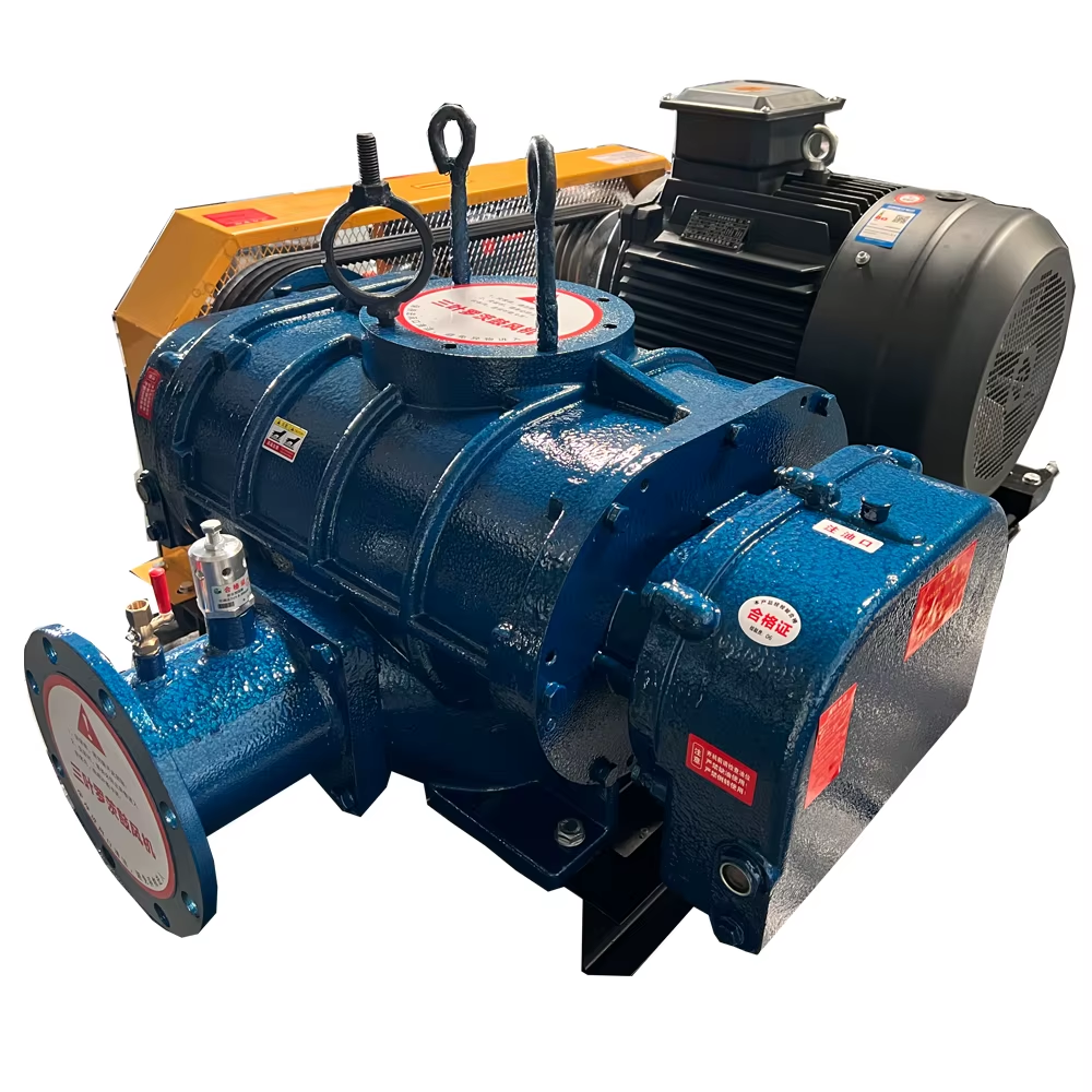 Chinese manufacturers specializing in the production of roots fan, Roots vacuum pump manufacturers.