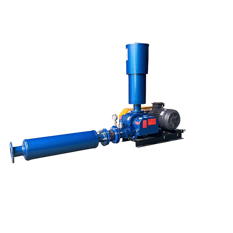 Pneumatic conveying Roots blower