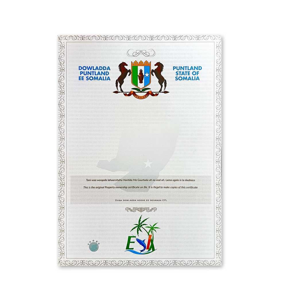 Anti-Counterfeit Property Certificate Paper for Institution