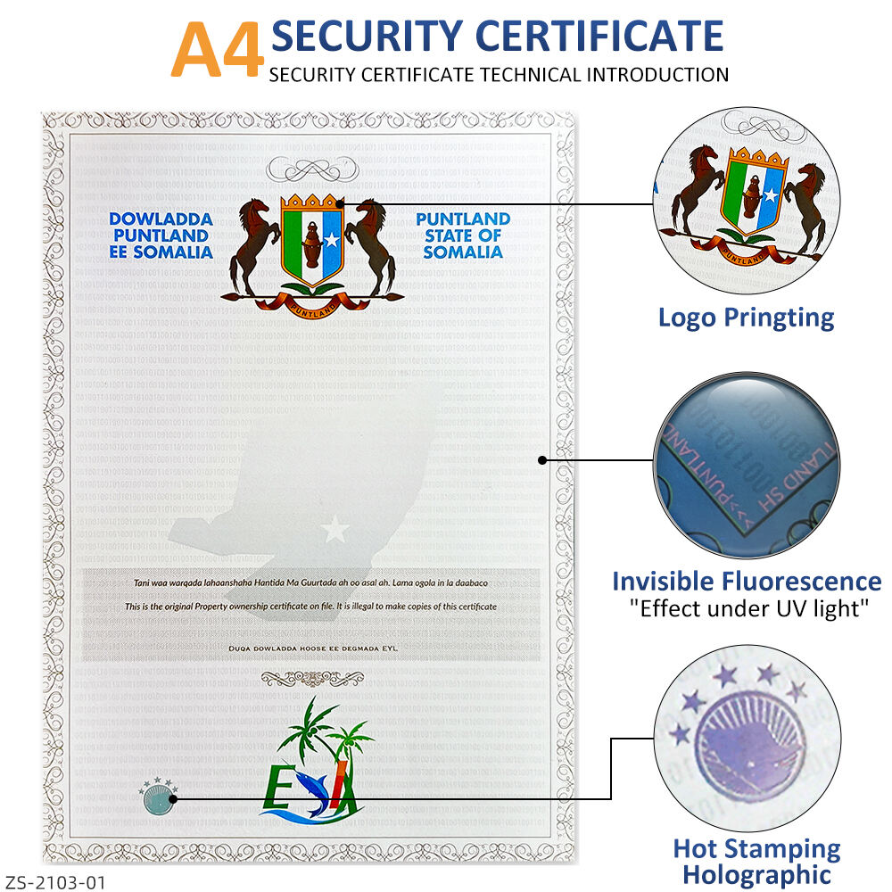 Wholesale Holographic Security Certificate Printing Custom Security Certificate factory