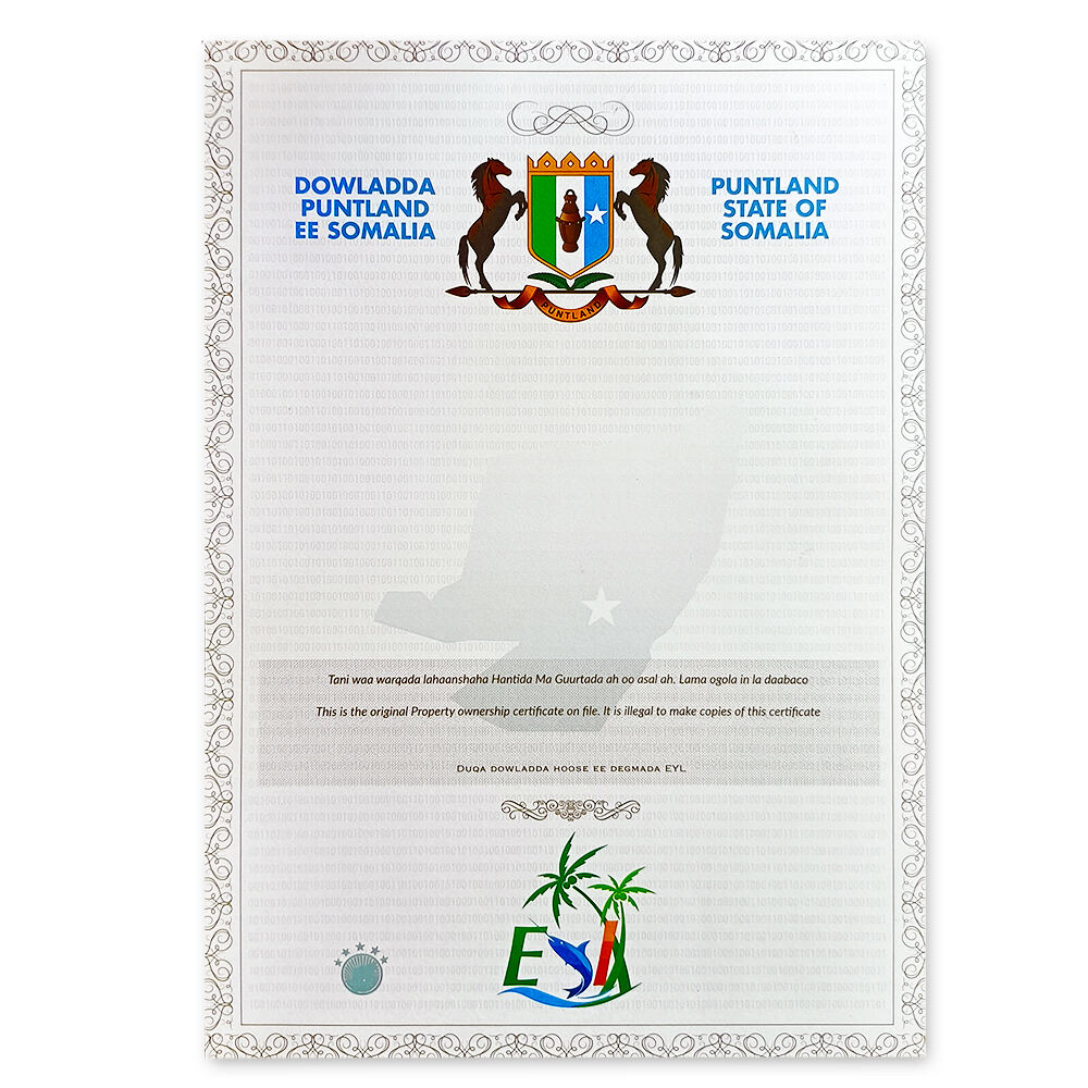 Security certificate paper with serial number and invisible fluorescence