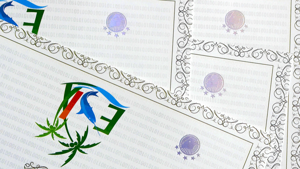 Hologram Sticker.jpg