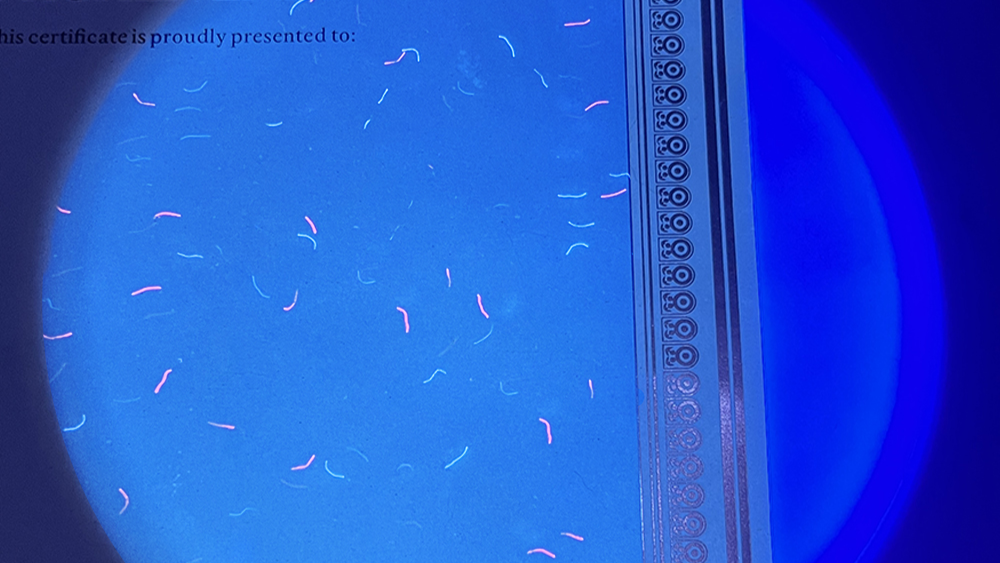 Hologram Sticker.jpg