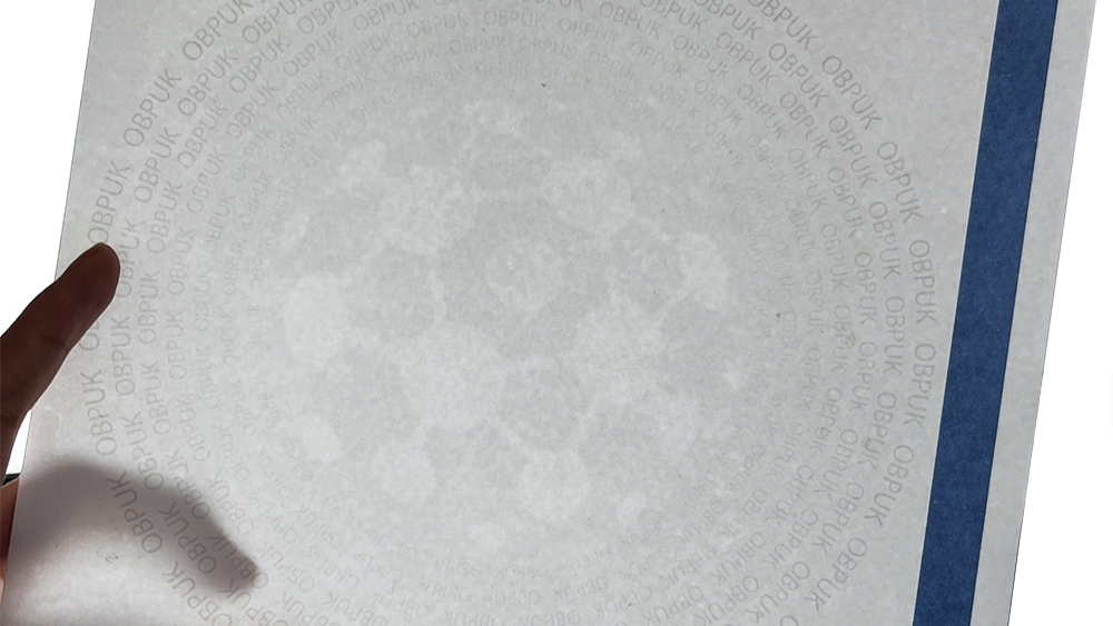 Hologram Sticker.jpg