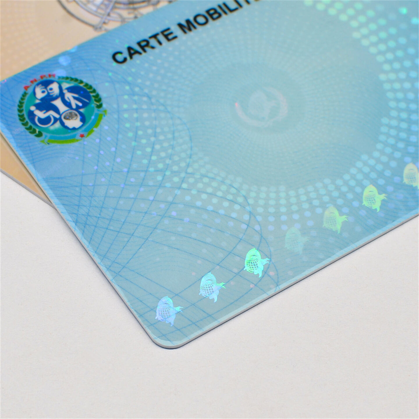 How to Make a Secure Optical ID Card (6).jpg