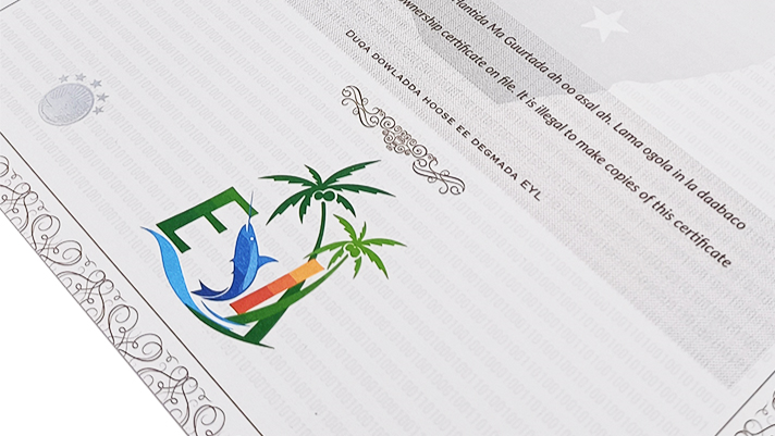 Hologram Sticker.jpg