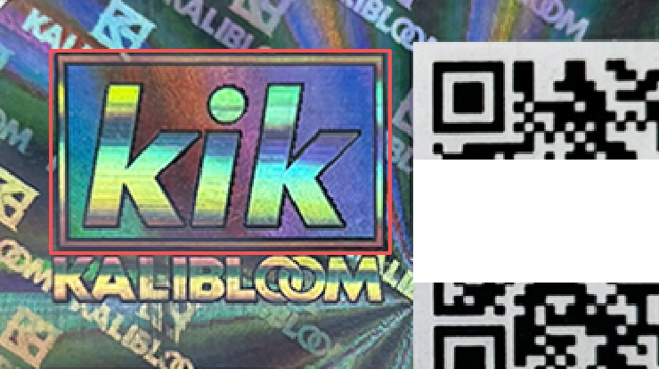 Hologram Sticker.jpg