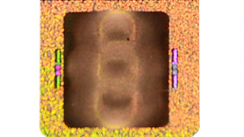 Hologram Sticker.jpg