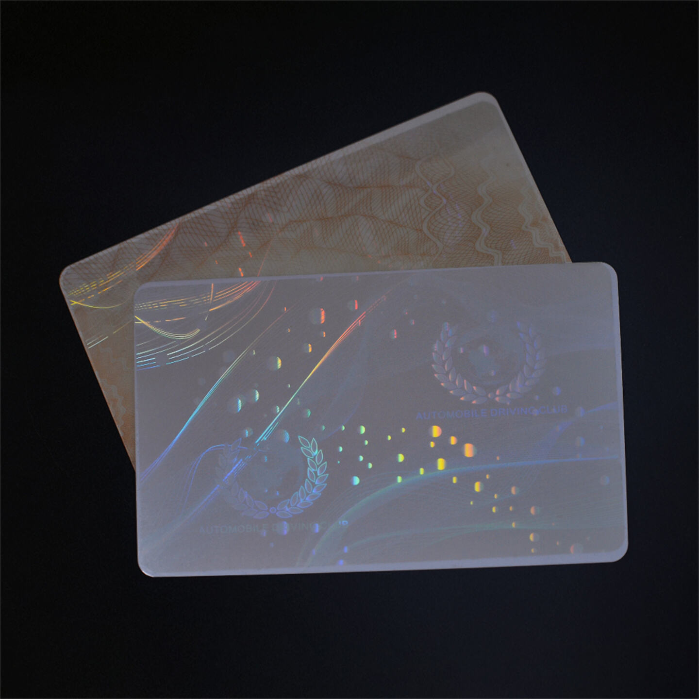 How to Make a Secure Optical ID Card (5).jpg