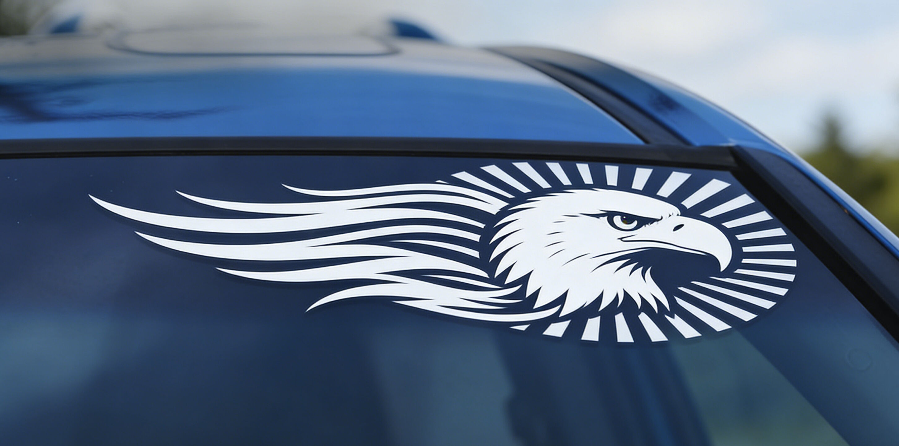 Professional Installation and Long-Term Performance Assurance