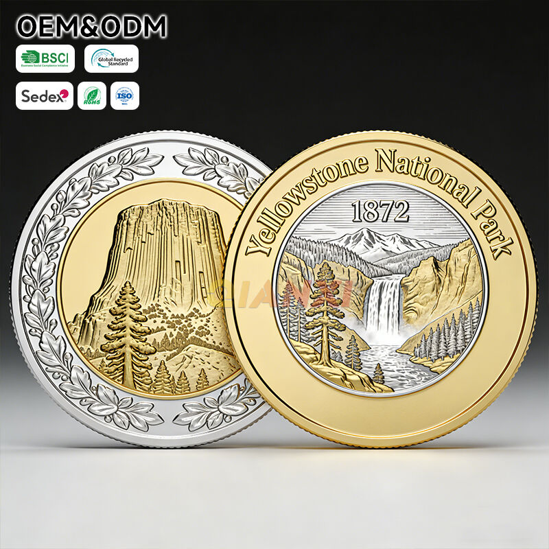 Comprehensive Customization and Design Support