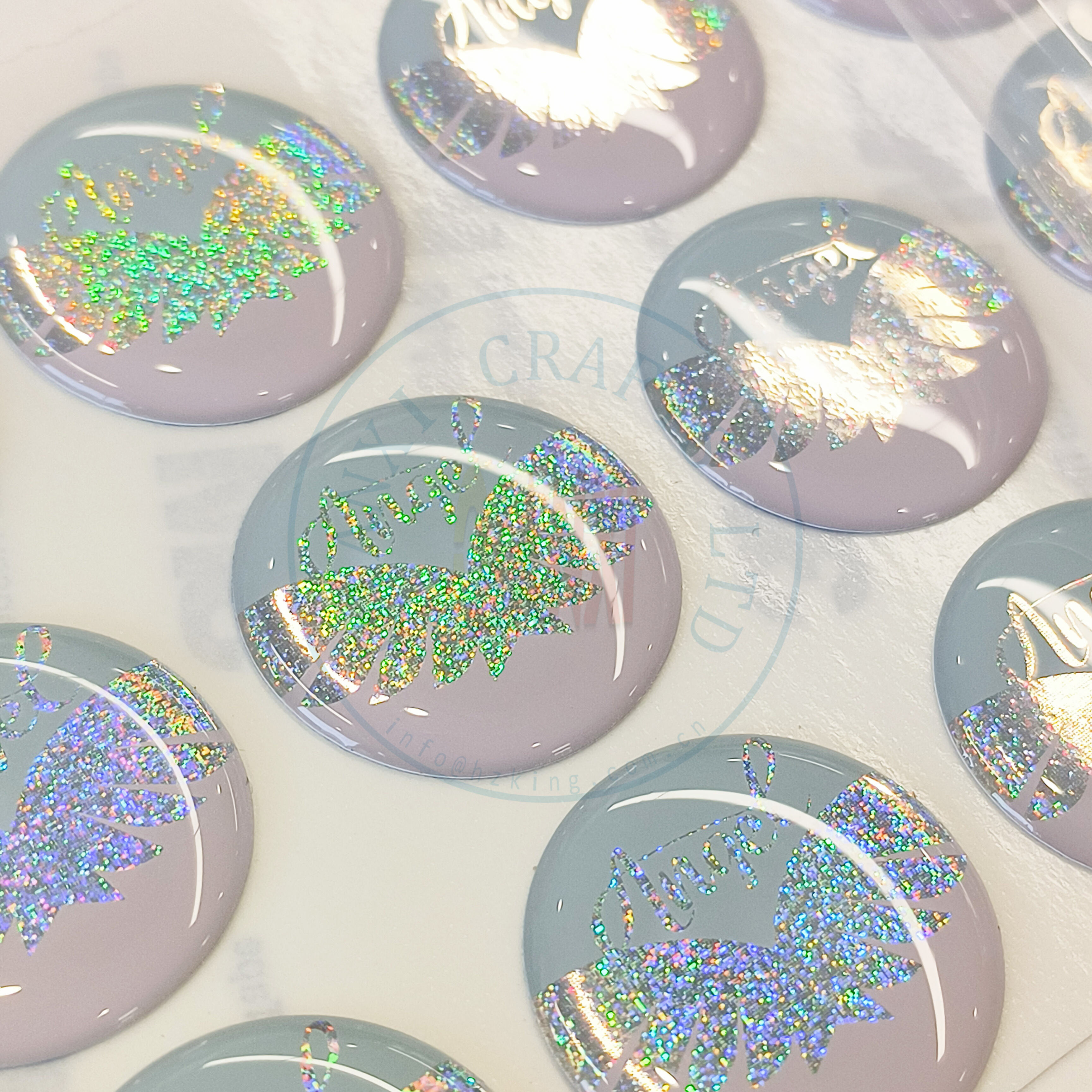 Comprehensive Customization Capabilities and Design Services