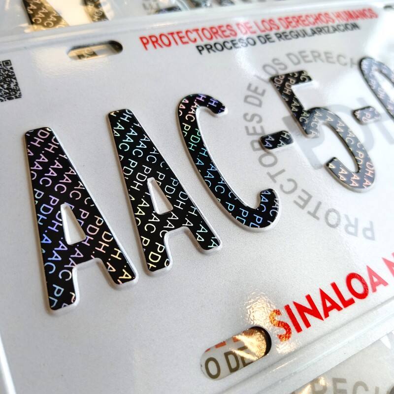 Hologram Hot Stamping Security Government Front Plate Japan Illuminated Blank Aluminum Motorcycle Car Number License Plate