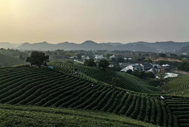 Finding Balance – DEKAI Team Trip to Zhejiang