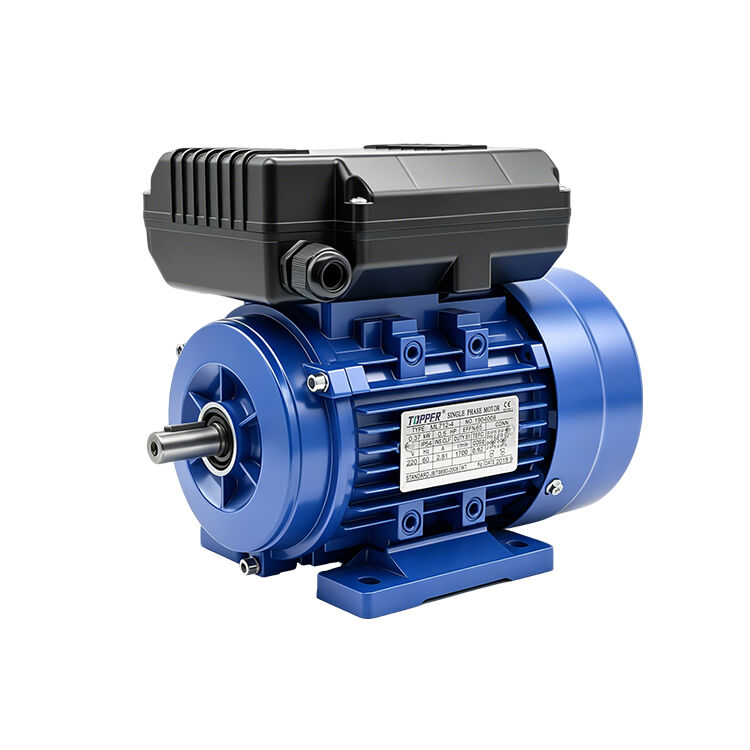 Single Phase Series Motor